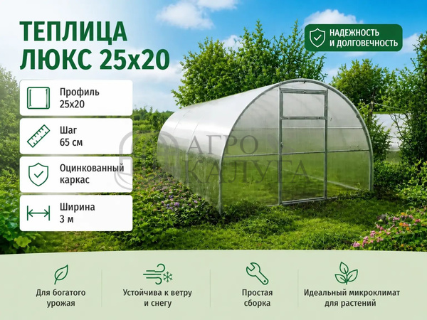 Теплица "Люкс" 25х20 (шаг 65 см.) каркас